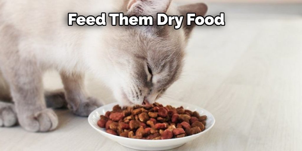 Feed Them Dry Food