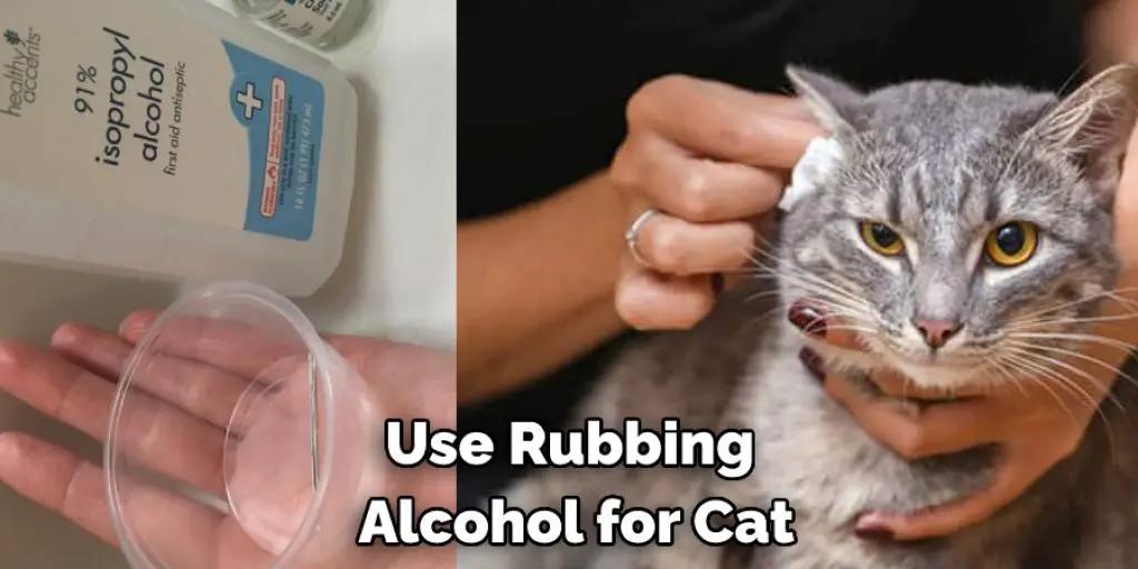 Use Rubbing Alcohol for Cat