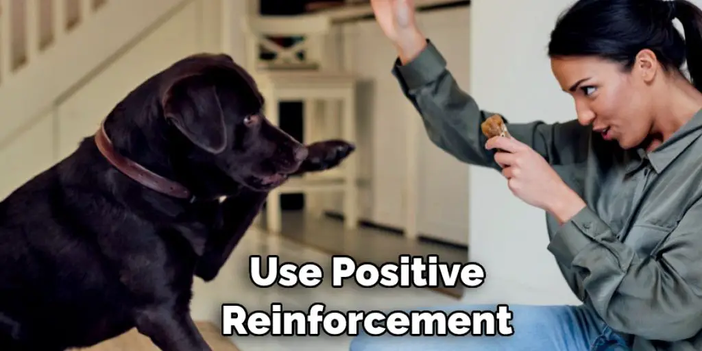 Use Positive Reinforcement 