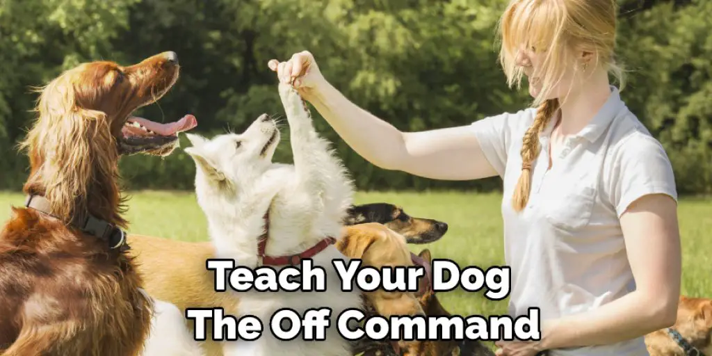 Teach Your Dog  The Off Command