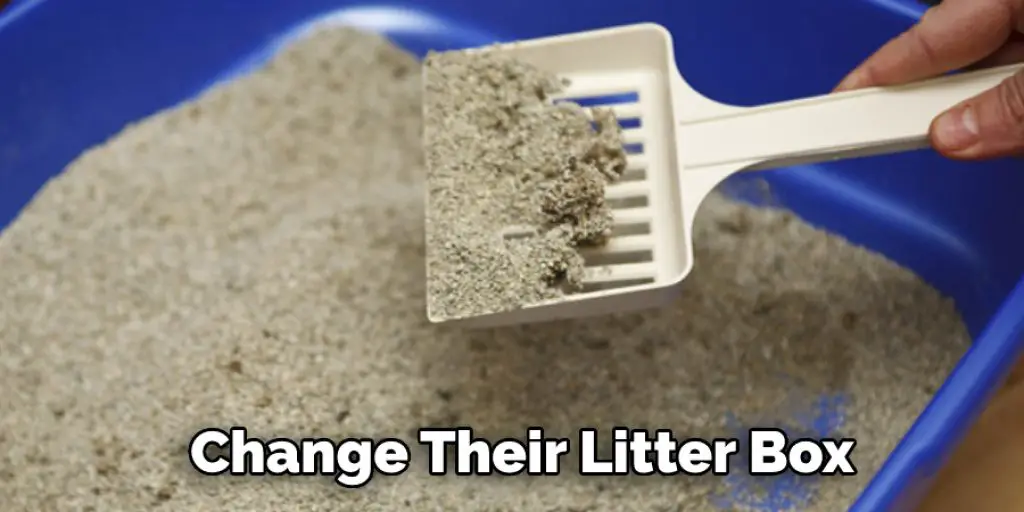 Change Their Litter Box