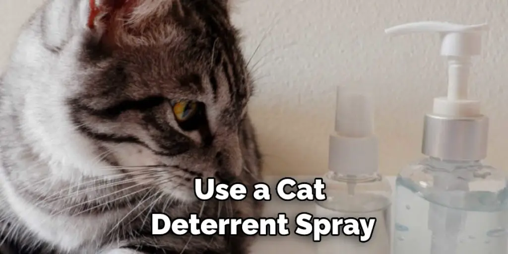 Use a Cat Deterrent Spray
