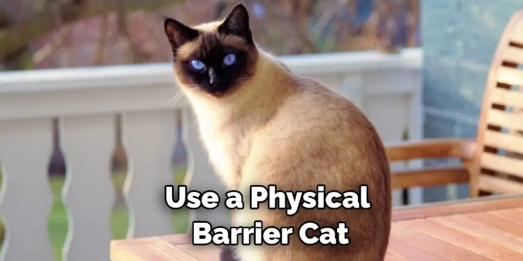 Use a Physical Barrier Cat