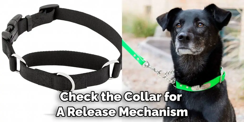 Check the Collar for  A Release Mechanism