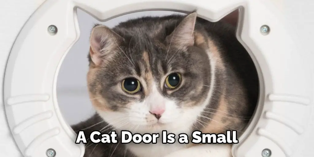 A Cat Door Is a Small