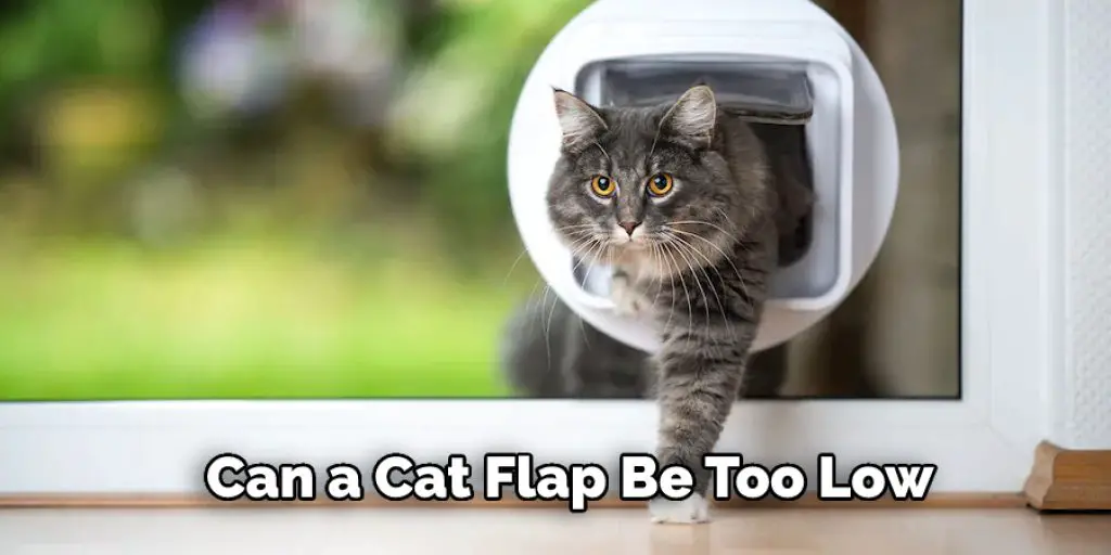 Can a Cat Flap Be Too Low