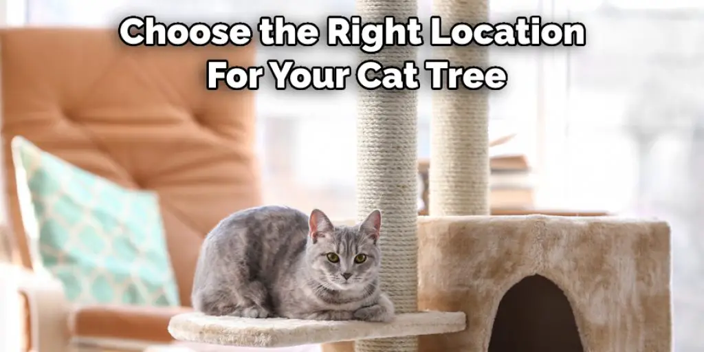 Choose the Right Location  For Your Cat Tree