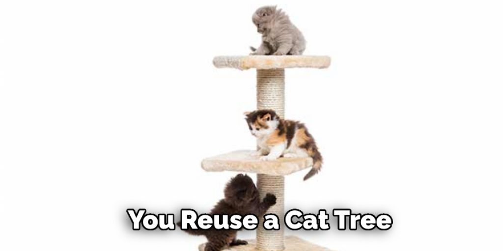 You Reuse a Cat Tree