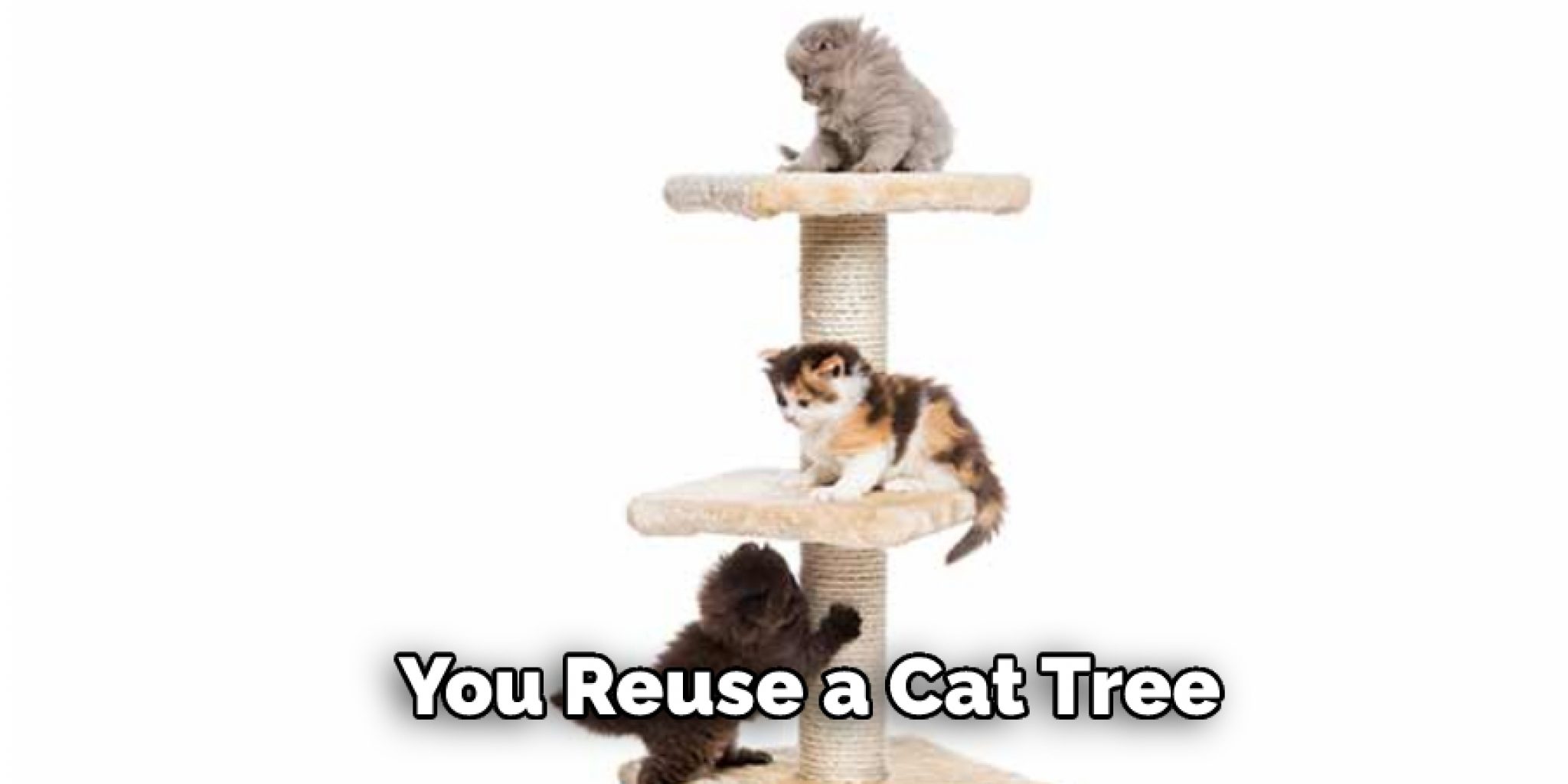 How to Make a Cat Tree More Stable in 6 Easy Steps (2024)