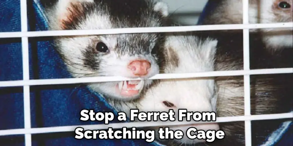 Stop a Ferret From  Scratching the Cage