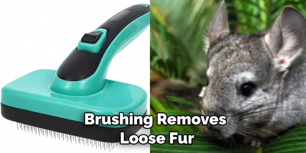 Brushing Removes  Loose Fur