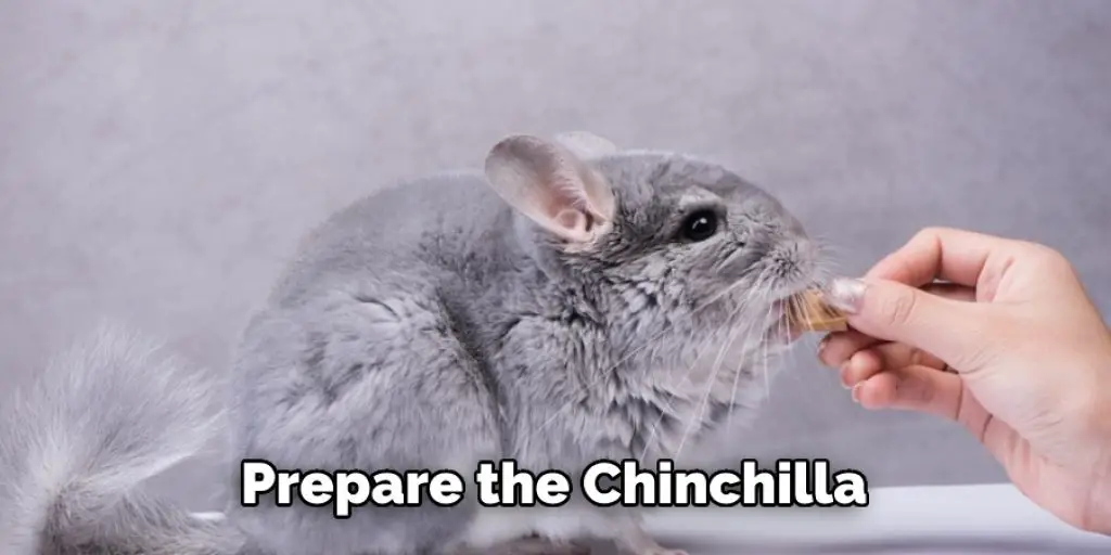 Prepare the Chinchilla