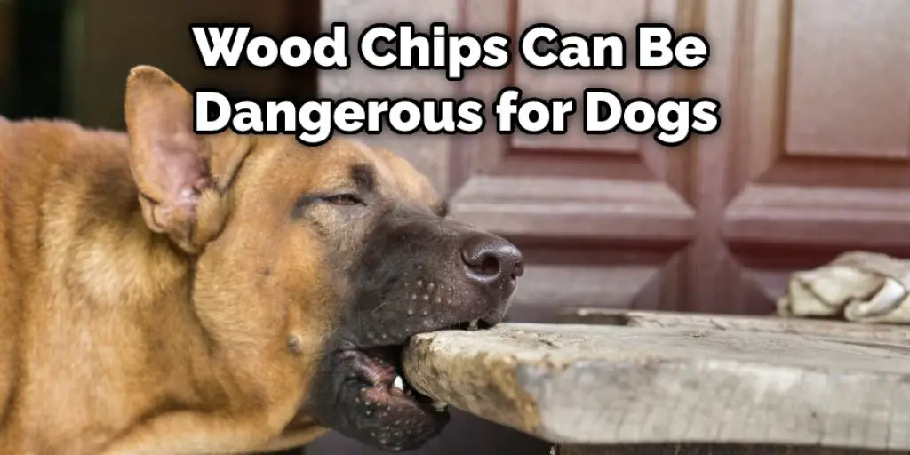 Wood Chips Can Be  Dangerous for Dogs