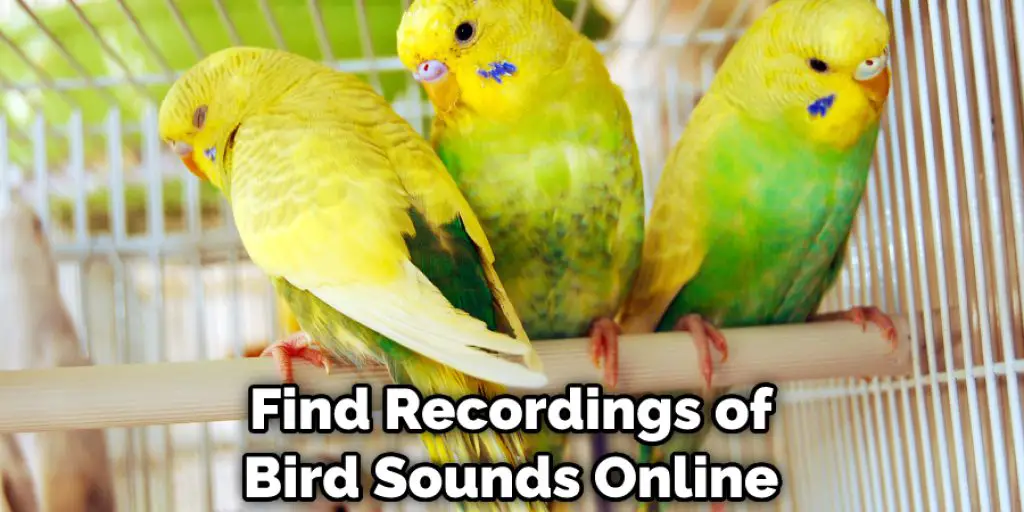 Find Recordings of Bird Sounds Online
