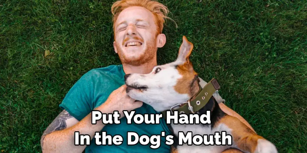 Put Your Hand  In the Dog's Mouth