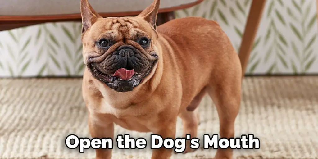 Open the Dog's Mouth