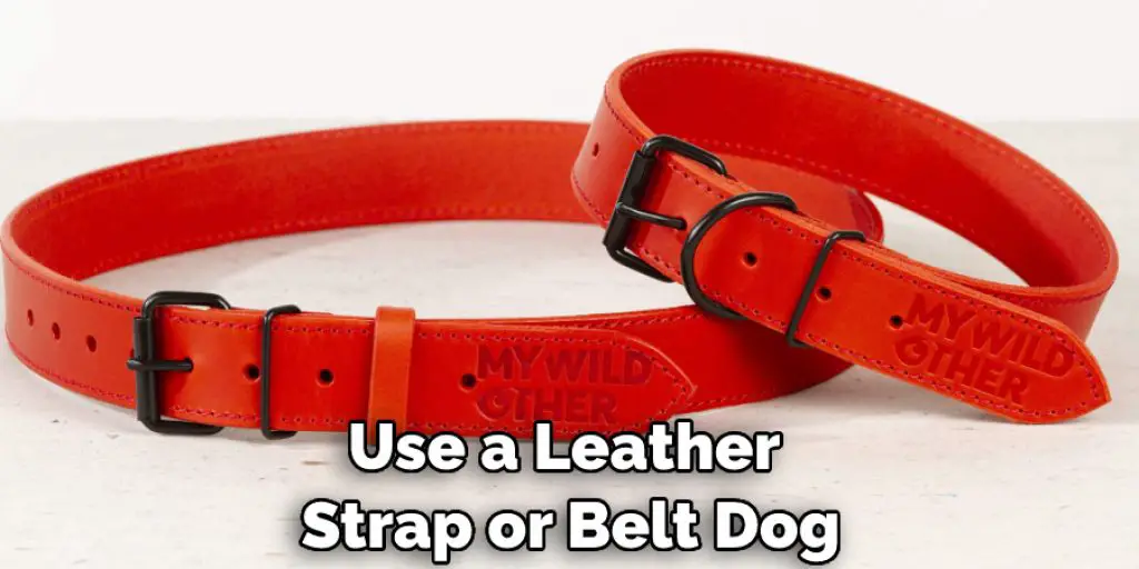 Use a Leather  Strap or Belt Dog