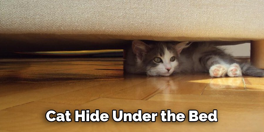 How to Block Under Bed From Cat | 15 Effective Ways (2026)