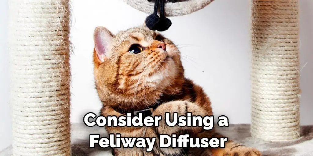 Consider Using a  Feliway Diffuser