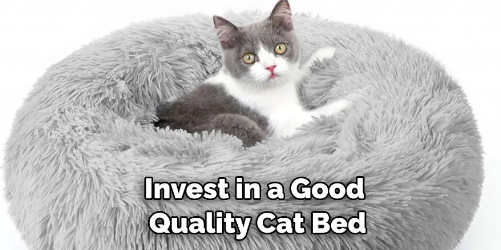 Invest in a Good  Quality Cat Bed