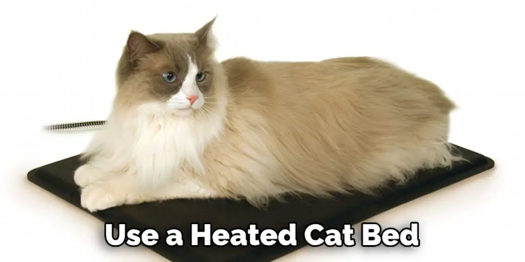 Use a Heated Cat Bed