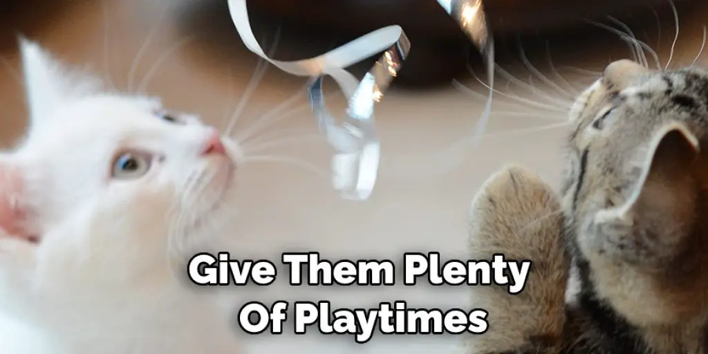 Give Them Plenty  Of Playtimes