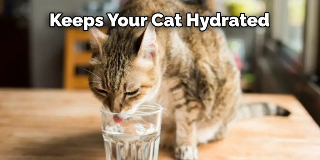 Keeps Your Cat Hydrated
