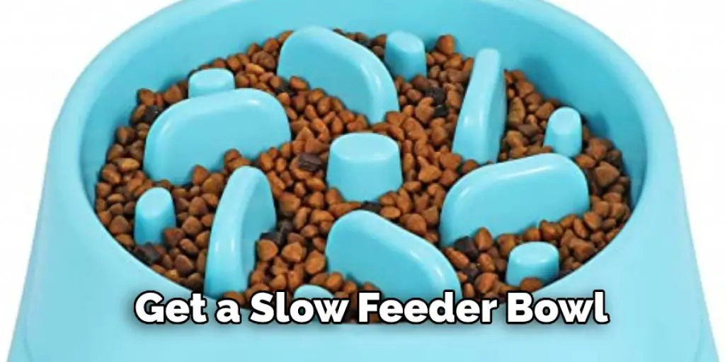 Get a Slow Feeder Bowl