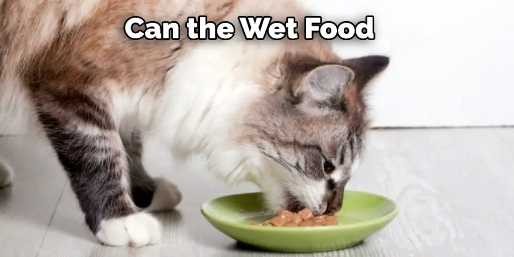 Can the Wet Food