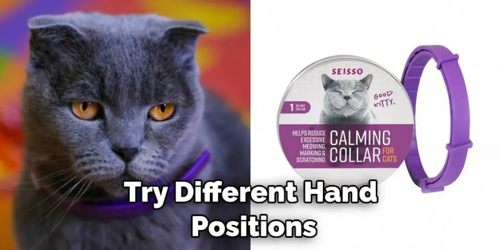 Try a Cat Calming Collar