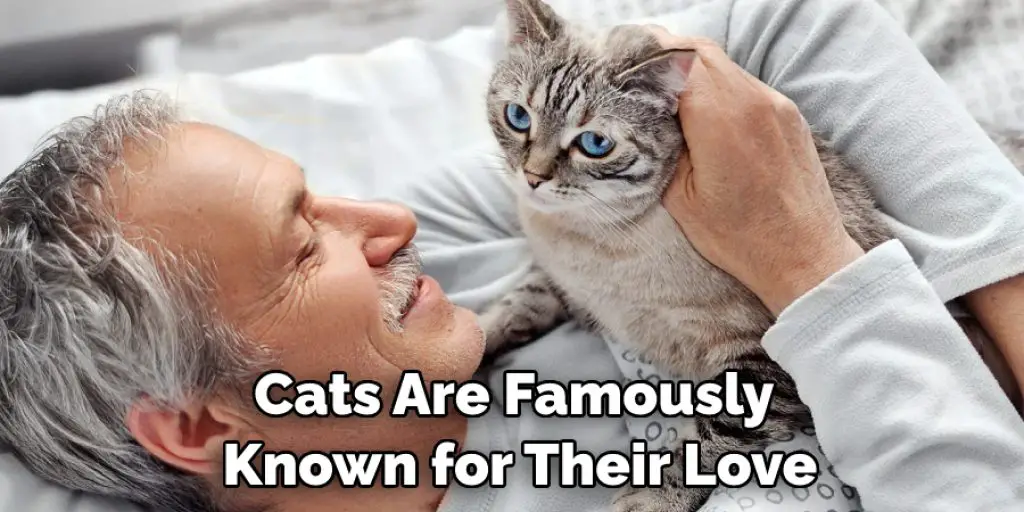 Cats Are Famously  Known for Their Love