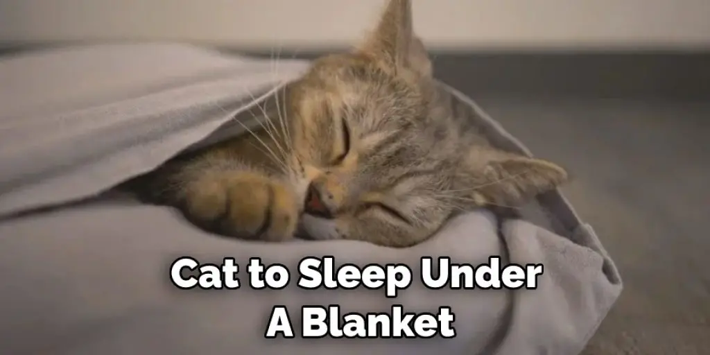 Cat to Sleep Under  A Blanket