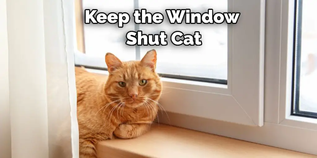 Keep the Window Shut Cat