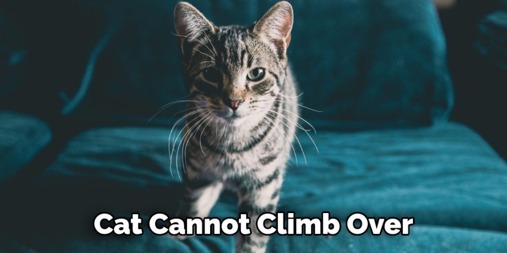 Cat Cannot Climb Over
