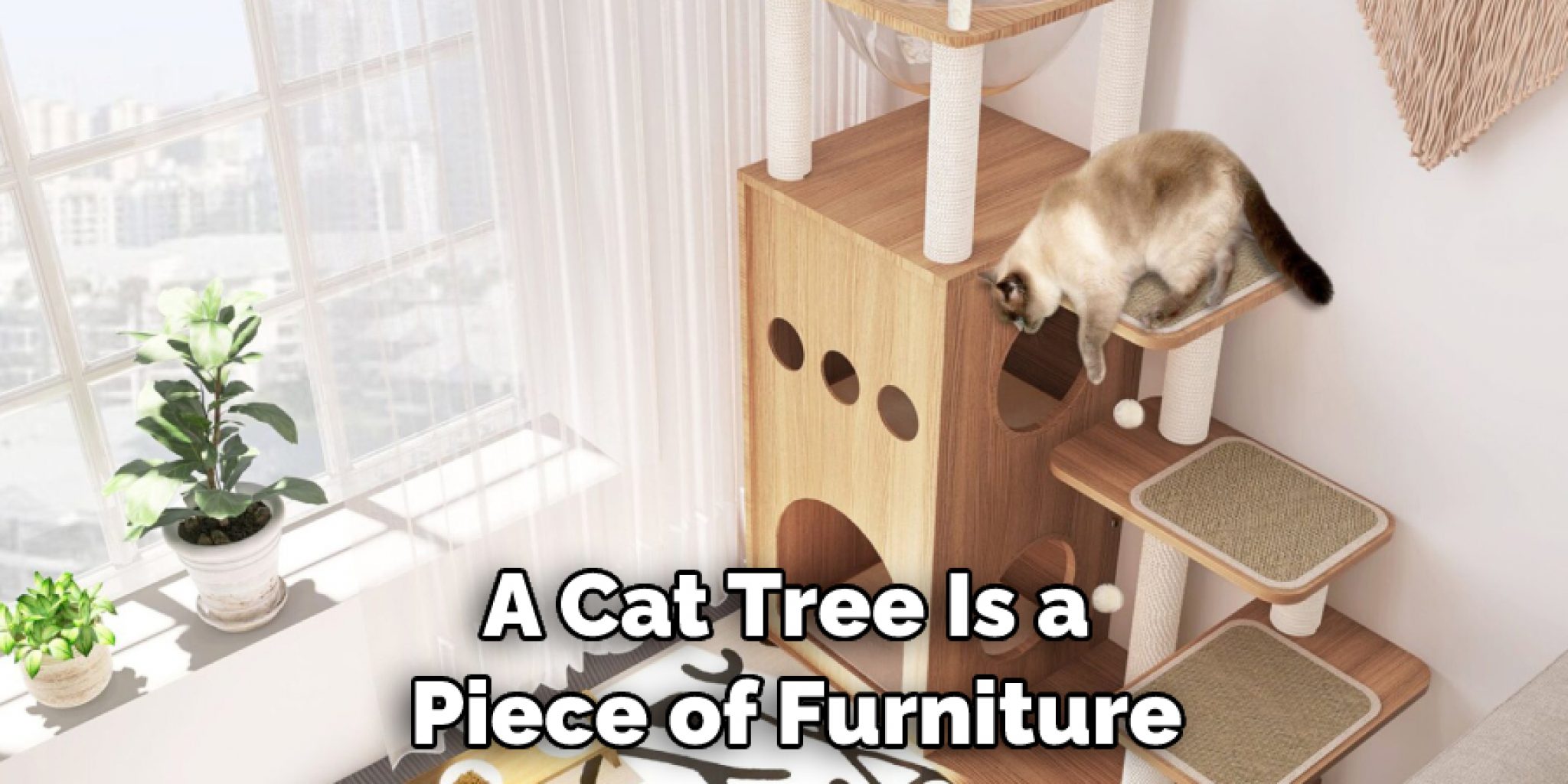 How to Get Cat to Use Cat Tree 08 Effective Ways (2024)