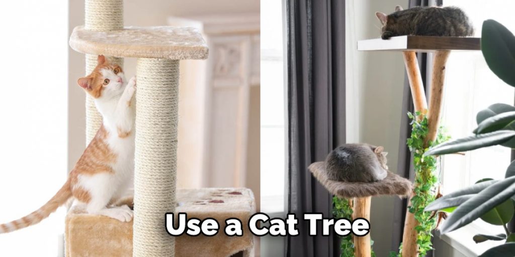 Use a Cat Tree