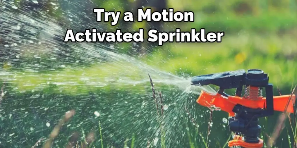 Try a Motion Activated Sprinkler