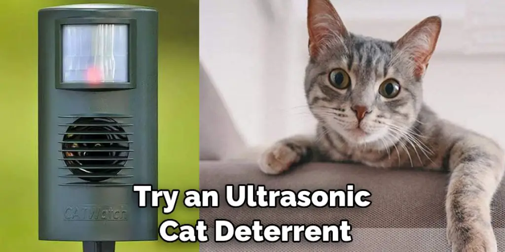 Try an Ultrasonic  Cat Deterrent