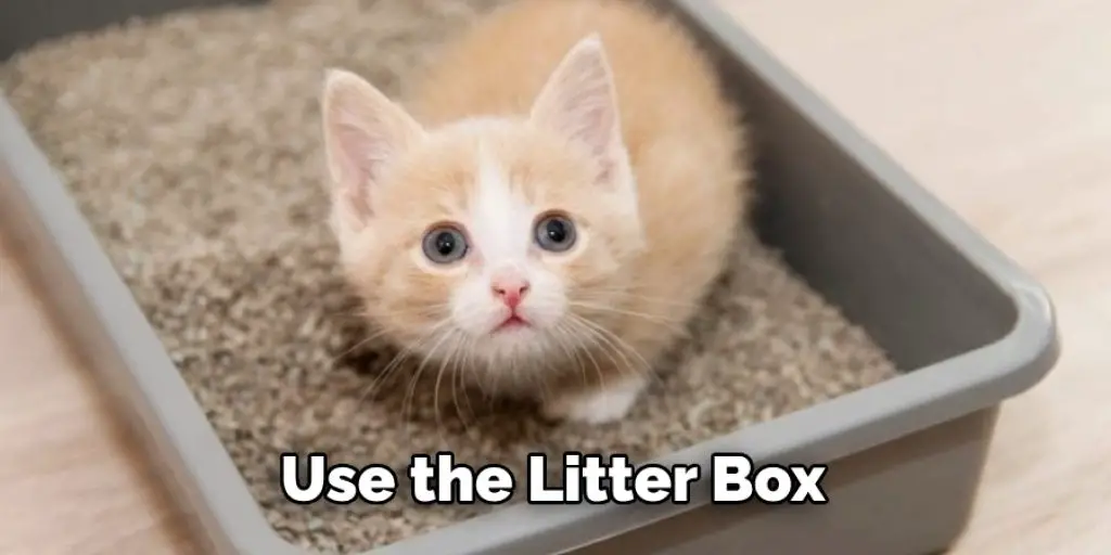 Use the Litter Box