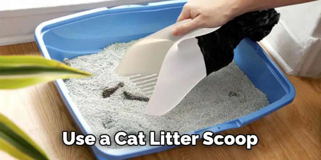 Use a Cat Litter Scoop