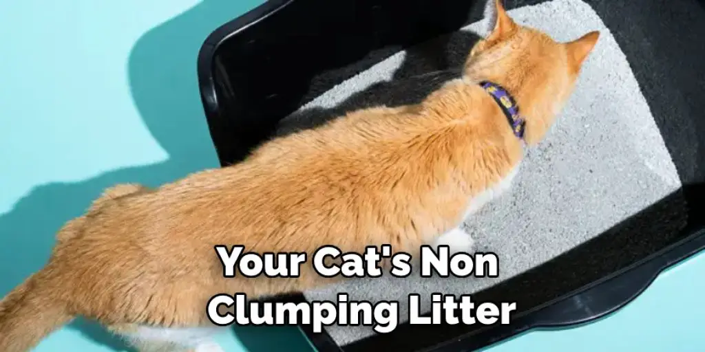 Your Cat's Non Clumping Litter