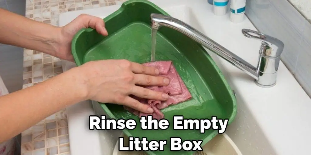 Rinse the Empty Litter Box