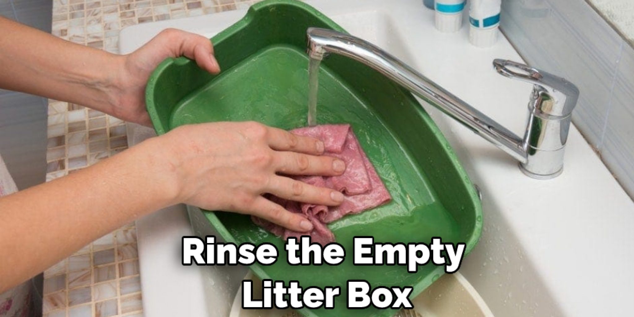 How Often to Change Non Clumping Litter in 06 Easy Steps (2024)