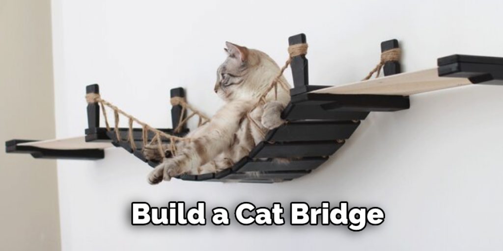 Build a Cat Bridge