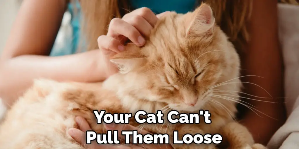 Your Cat Can't  Pull Them Loose