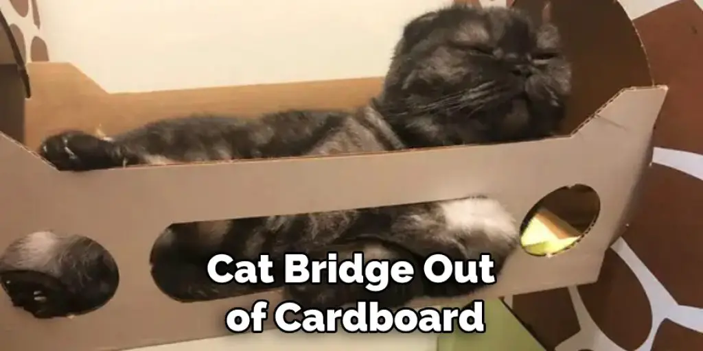 Cat Bridge Out  of Cardboard