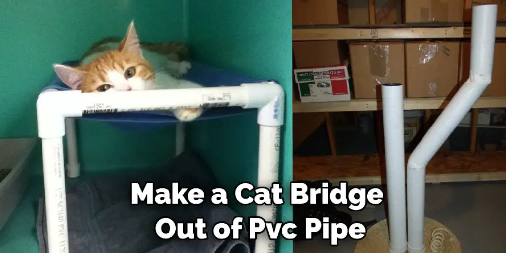 Make a Cat Bridge  Out of Pvc Pipe