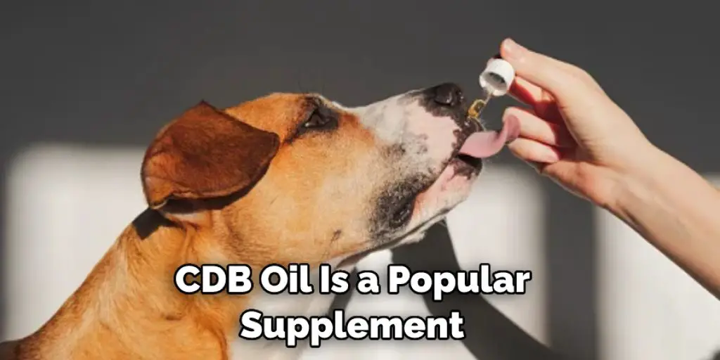 CDB Oil Is a Popular  Supplement 