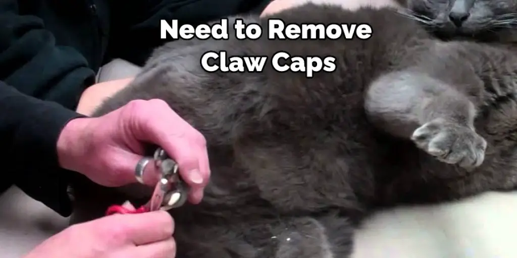 Need to Remove  Claw Caps