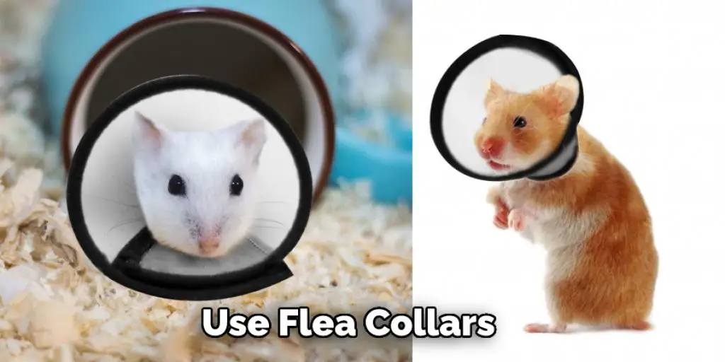Use Flea Collars